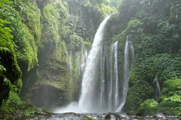Tiu Kelep Homestay Senaru Buitenkant foto