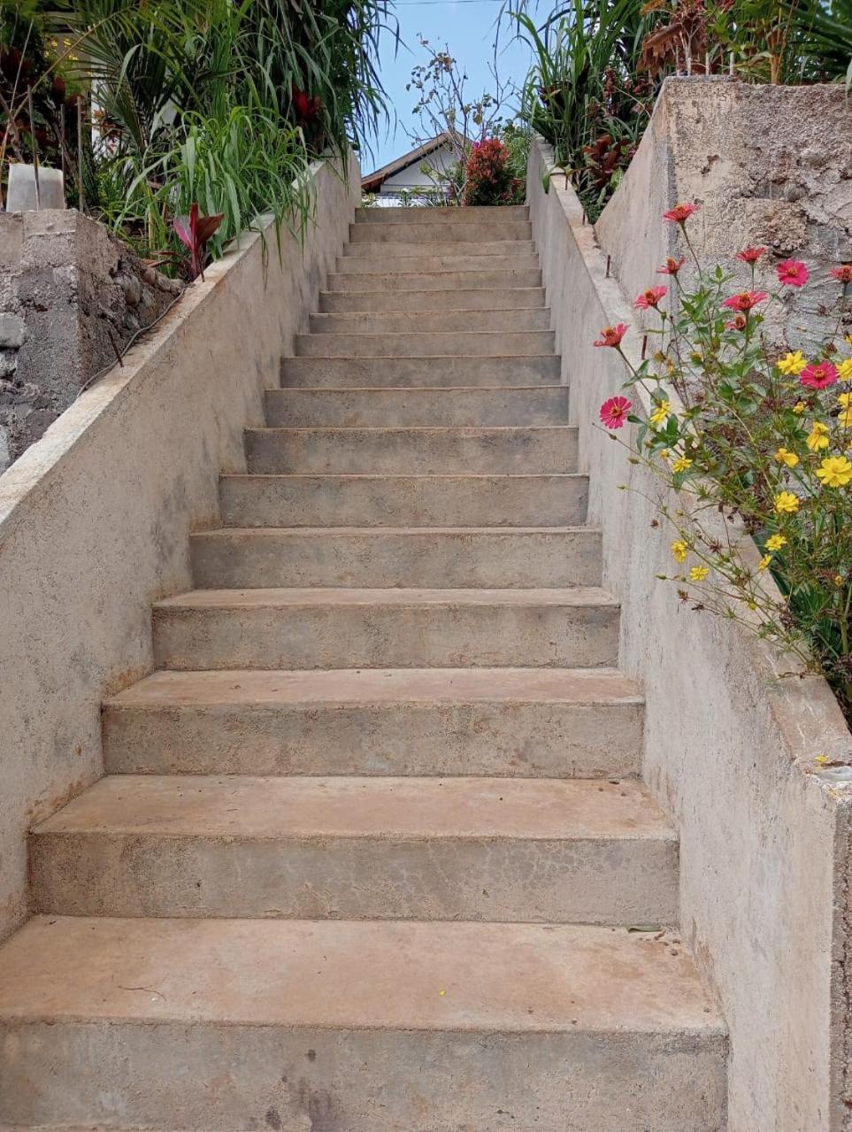 Tiu Kelep Homestay Senaru Buitenkant foto