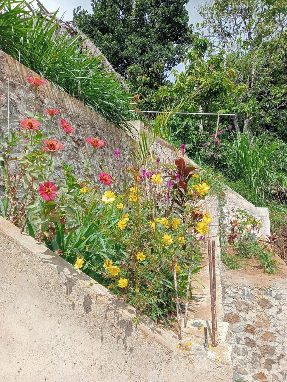Tiu Kelep Homestay Senaru Buitenkant foto